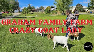 Graham Family Farm: Crazy Goat Lady