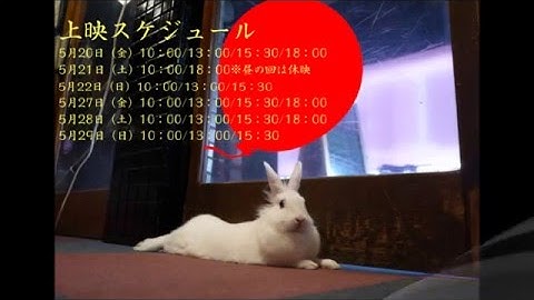 エヴァの匂い　予告編