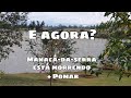 CHÁCARA-POMAR-MEU MANACÁ-DA-SERRA ESTÁ MORRENDO-PRECISO DE AJUDA