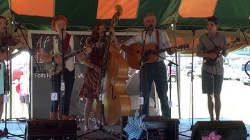 Strickly Strings - Big Eyed Rabbit Gone