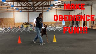 Competition Dog Obedience-How to Train Drive and Motivation