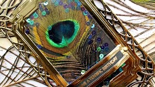 Peacock Feather Shaker Card screenshot 5