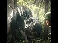 Allosaurus edit#allosaurus#jurassicworl#dinosaur#chaostheory