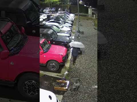 Surveillance footage captures woman keying over 400 cars #Shorts