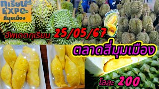 ทุเรียนเนื้อนุ่มเหนียวนึบ สี่มุมเมือง EP.86 #ทุเรียน #ทุเรียนไทย #ของอร่อย #streetfood #ผลไม้