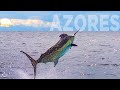 Marlin fishing in azores the land of giants  part two