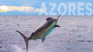 Marlin Fishing In Azores The Land Of Giants - Part Two