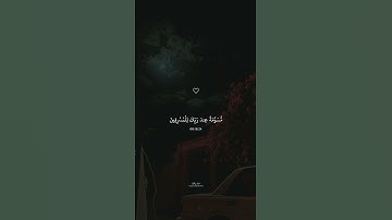 قَالَ فَمَا خَطْبُكُمْ أَيُّهَا الْمُرْسَلُونَ || تلاوة جميلة جدا بصوت القارئ الشيخ ماهر المعيقلي