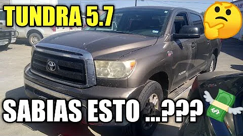 Kde se nachází tundra?
