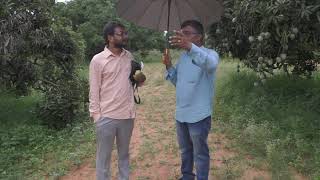 Mango Man of Karnataka Shivakumar  is a Wikipedia ||Journey with mango man||