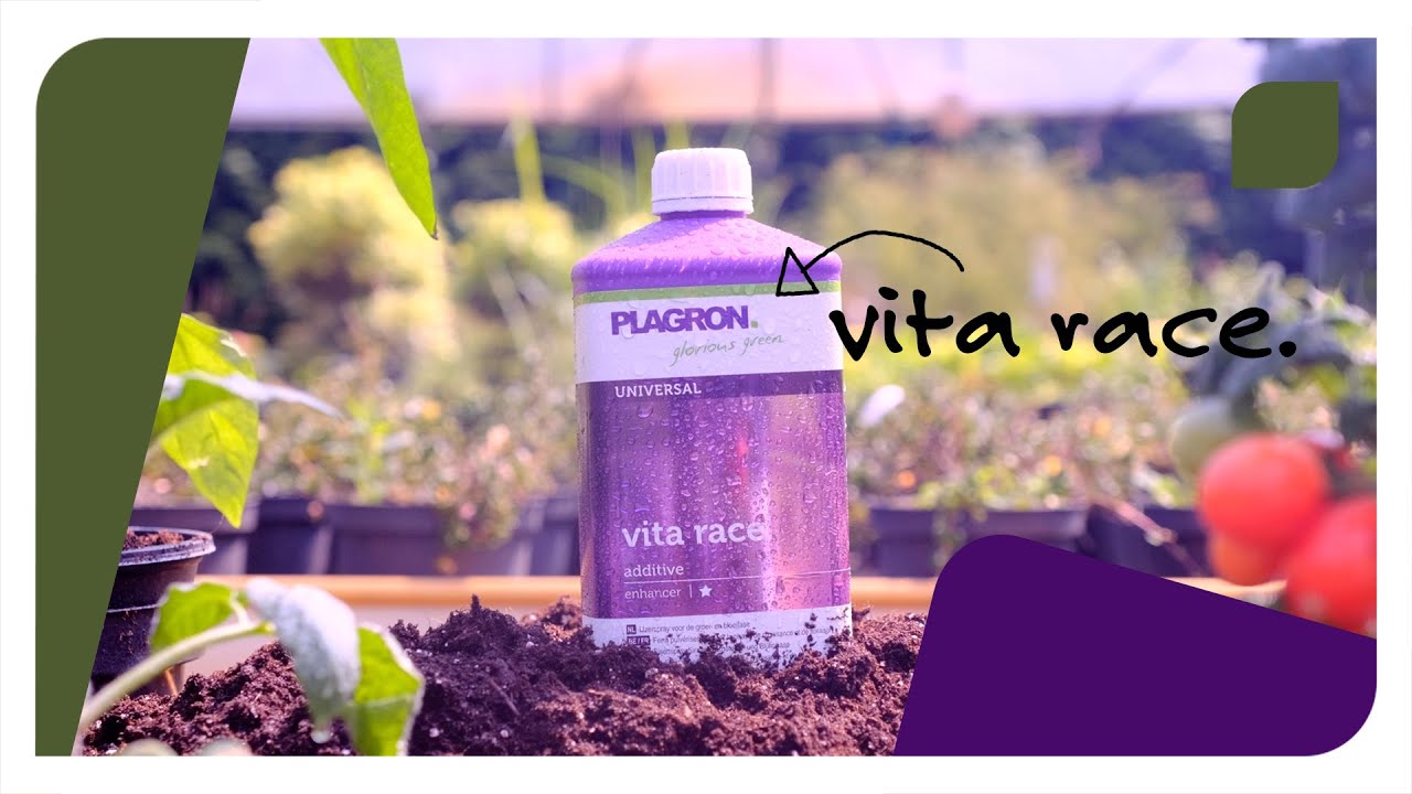 How to use Plagron Vita Race