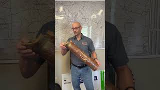 Terracotta Pipe Problems And Prior To 1955