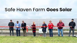 Ohio Non-Profit Safe Haven Farm Goes Solar