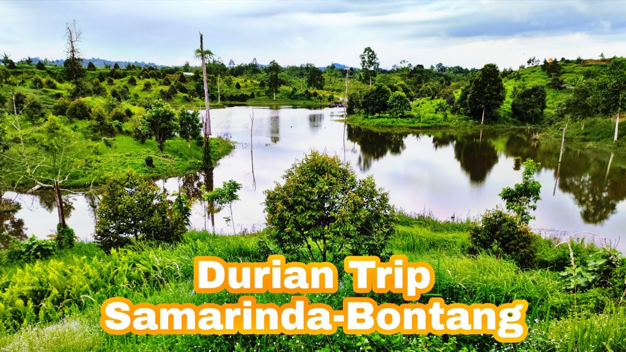 AMAZING DURIAN TRIP SAMARINDA-BONTANG 