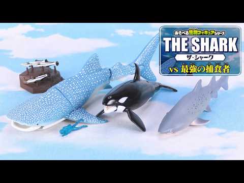 The Shark vs. The Ultimate Predators] This is insane for 300 yen