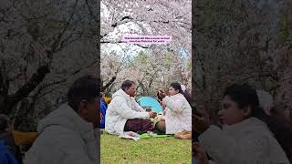 #cooljapan #sakurajapan #travel #anime #hanamichisakuragi #hanami