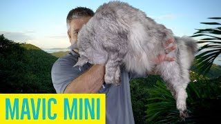 Mavic mini Initial Impressions