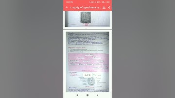 11th | Biology | practical | B.1. Study of specimens and identification with reasons |