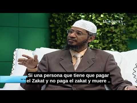 ¿Cuál Es La