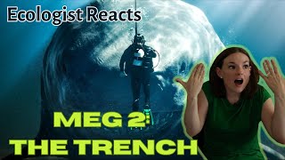 Shark Scientist Reacts to Meg 2: The Trench