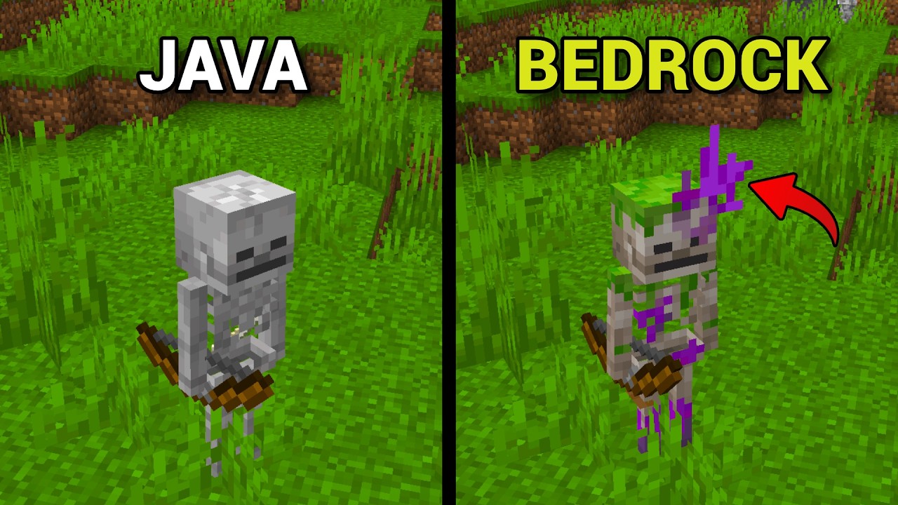 40 Differences Between Minecraft Java Vs Bedrock You Never Seen - YouTube