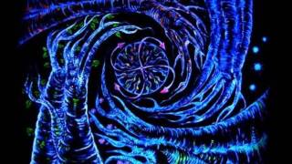 mimosa dubstep