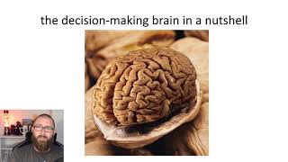 Decision Making and the Brain - lecture by dr. Jasper Winkel (Leiden university)