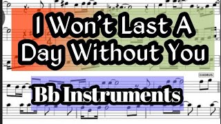 I Wont Last A Day Without You Tenor Sax Soprano Clarinet Trumpet Sheet Backing Play Along Partitura