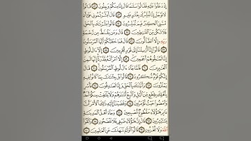 ماهر المعيقلي سورة الحجر مكتوبة صفحة 265 مصحف المدينة المنورة جودة عالية
