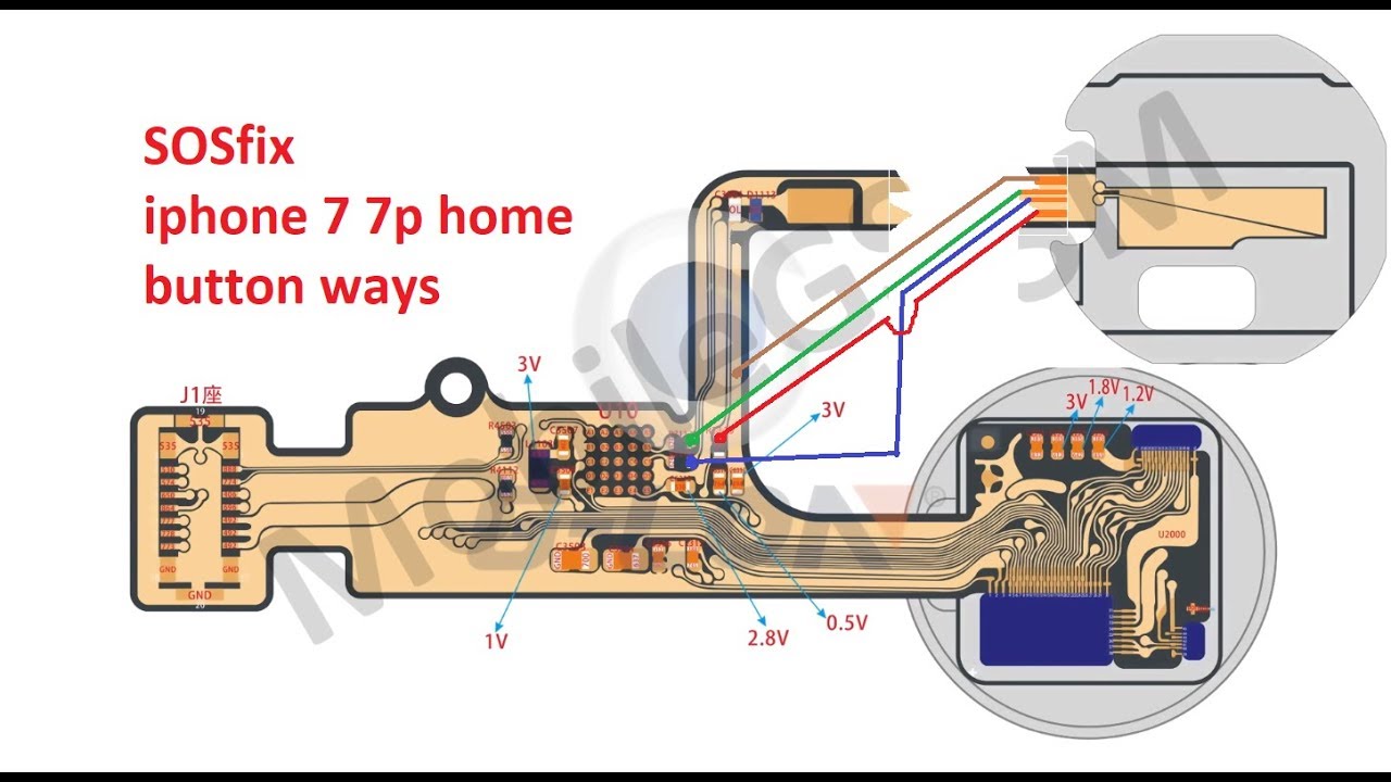 IPhone 12 Buttons Diagram