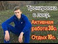 Тренировка в лесу. Лучшая тренировка на свежем воздухе