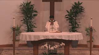 Wednesday, July 15, Daily Mass
