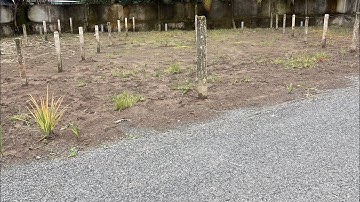 Tập 492🌿bán 3 lô đất thổ cư mặt tiền đường nhựa. Lh0984758832. Sang 