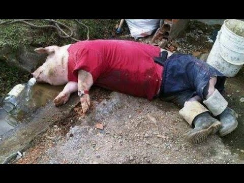 ყველაზე მაგარი საქეიფო 2017  რა იქნებოდა :D :D