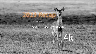 2023 Recap NATURE ON COMMAND video -  Deer, Bobcat, Coyote, Birds,  Butterflies, Big Bucks, Turkey