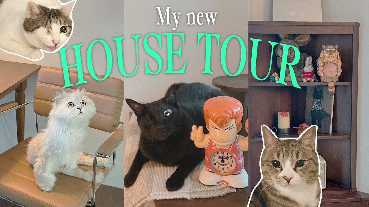 고양이 4마리를 위해 이사했어요 🏠 경치 쥑이는 읏디네 랜선집들이