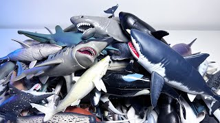 Sea Animals, Sharks, Whales, Dolphins, Beluga, Orca, Vaquita, Whaleshark, Megalodon