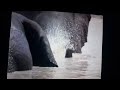 Animal alphabet e song elephant 