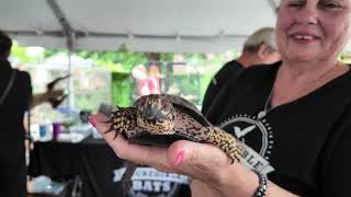 Parrot Stars Summer Festival Highlights from 2025