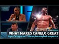 What Makes Canelo Great: David Haye And Joe Calzaghe On His Ruthless Desire To Get Knockouts