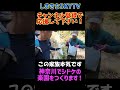 神奈川にシドケの楽園が誕生します！