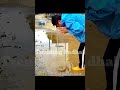 Science Experiment l Trending Padhai l #experiment #science #funny #train #physicswallah