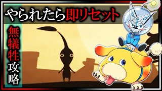 🚧犠牲ゼロ攻略🚧【ピクミン4 | Day17】1匹たりとも死なせるな！高難度縛りでもラスボスまできっちり倒してみんなで帰る！PIKMIN4攻略実況配信【#Vtuber 】