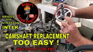 HOW TO REPLACE THE CAMSHAFT ON A BRIGGS AND STRATTON INTEK. EASY DIY.  ALSO MAIL CALL AT THE END