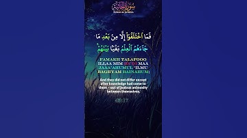 Surah Al Jathiya Verse 17 سورة الجاثية الآية