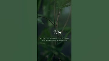 كلا إذا بلغت التراقي - #عمر_الدريويـز  #سورة_الملك #حالة_واتس