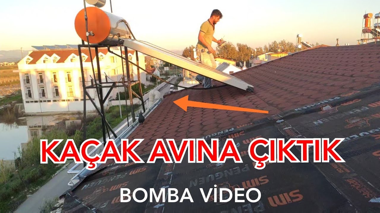 MEHMET HOCAYLA KAÇAK GÜVERCİN PEŞİNE DÜŞTÜK.DUSUYORDUM DAMDAN AZ KALSIN