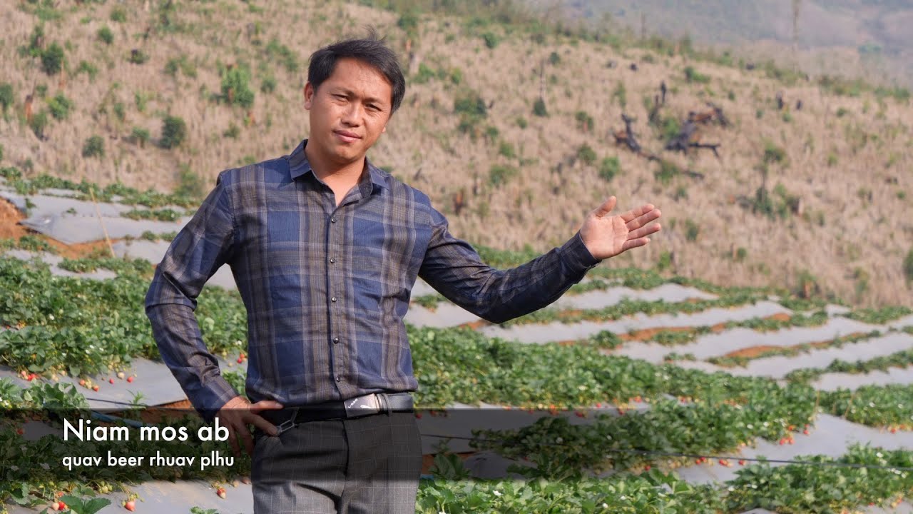 Niam mos ab quav beer thiab rhuav plhu 2/25/2024
