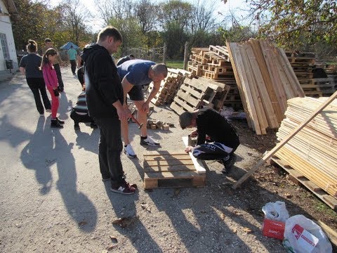 Доброволци от Русе подеха акция в помощ на бездомните кучета