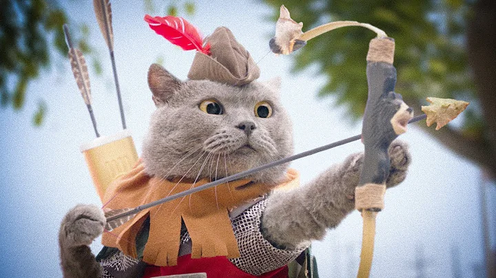 Cats and Dragons | Full Movie